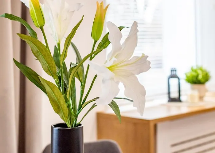 Apartament Zwyciestwa 20 - Winogrady アパート