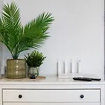 Zwyciestwa 20 - Winogrady