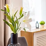 Zwyciestwa 20 - Winogrady شقة